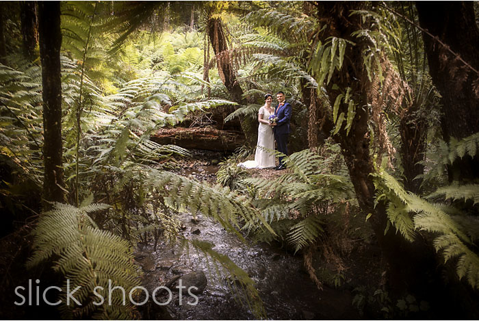 Katherine and Andrew's wedding at Lyrebird Falls in the Dandenongs